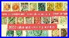 2022-Great-Britain-England-Most-Valuable-And-Rare-Old-Stamps-Value-01-juyk
