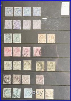 Great Britain Collection of mint & used on pages CV6800