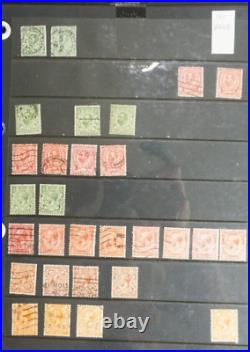 Great Britain Collection of mint & used on pages CV6800