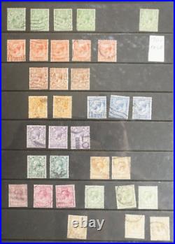 Great Britain Collection of mint & used on pages CV6800