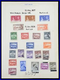 Lot 35372 Stamp collection Great Britain and colonies 1936-1952